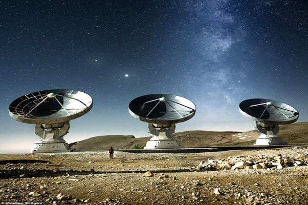 تصاویر برگزیده طبیعت و حیات وحش در سال 2020 تصاویر برگزیده طبیعت و حیات وحش در سال 2020