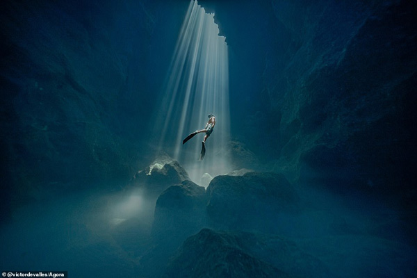 تصاویر برگزیده طبیعت و حیات وحش در سال 2020 تصاویر برگزیده طبیعت و حیات وحش در سال 2020