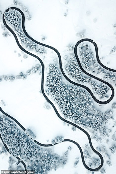 تصاویر برگزیده طبیعت و حیات وحش در سال 2020 تصاویر برگزیده طبیعت و حیات وحش در سال 2020