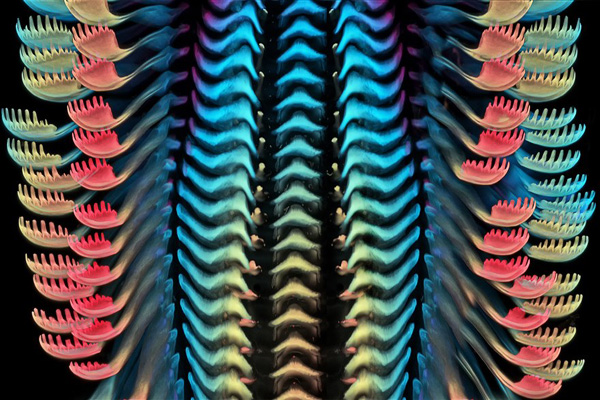 گشتی در دنیای شگفت انگیز «مینیاتوری» (گزارش تصویری)