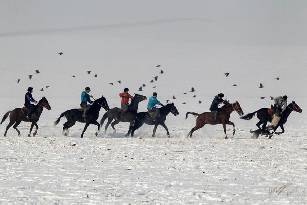 قتل برای رعایت نکردن محدودیت های کرونایی! / مسابقه «بز کشی» (تصاویر) قتل برای رعایت نکردن محدودیت های کرونایی! / مسابقه «بز کشی» (تصاویر)