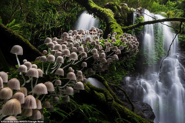 عکس های برنده مسابقه «طبیعت» در جهان (2) عکس های برنده مسابقه «طبیعت» در جهان (2)