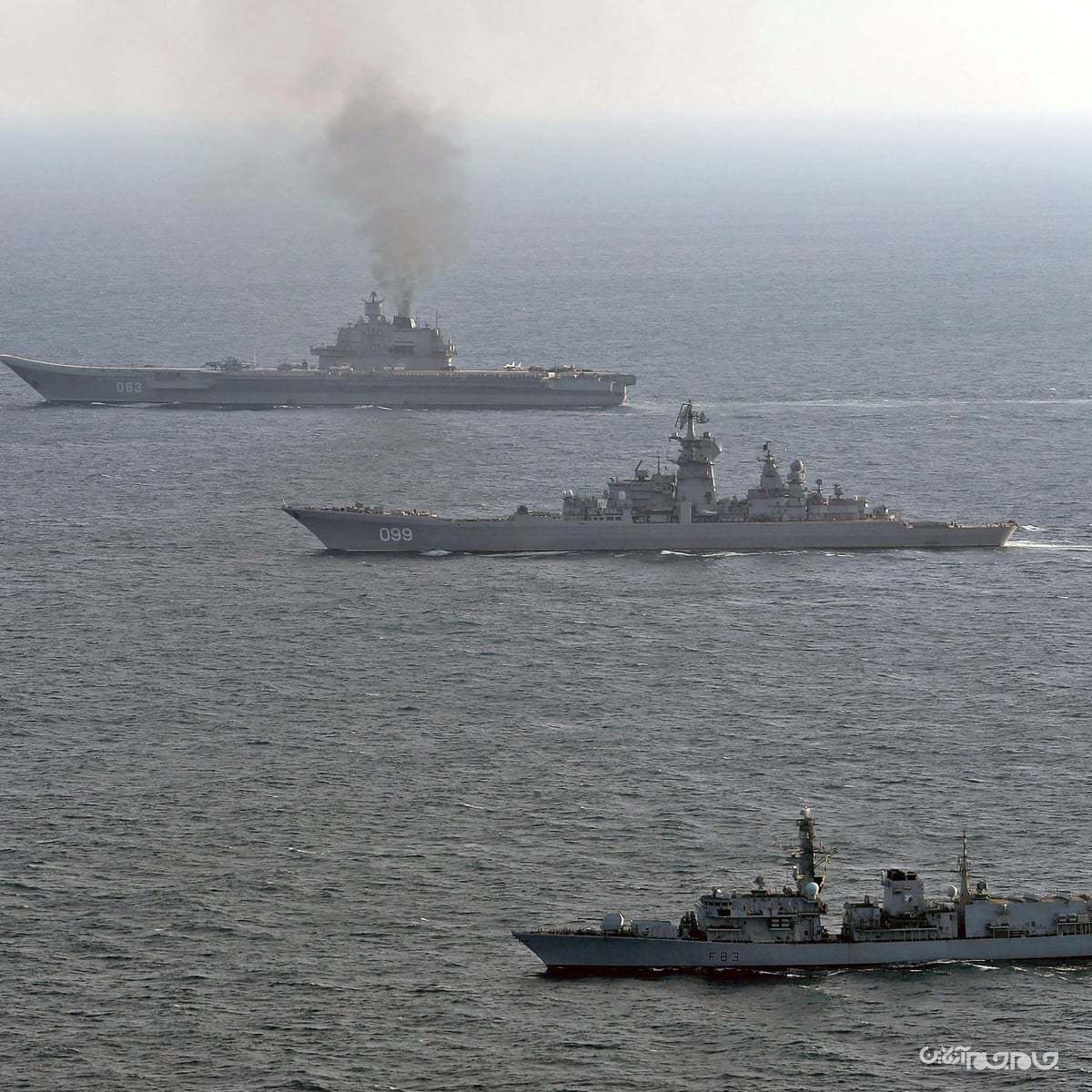 نیروی دریایی آمریکا و مسئله جانداران دریایی+عکس