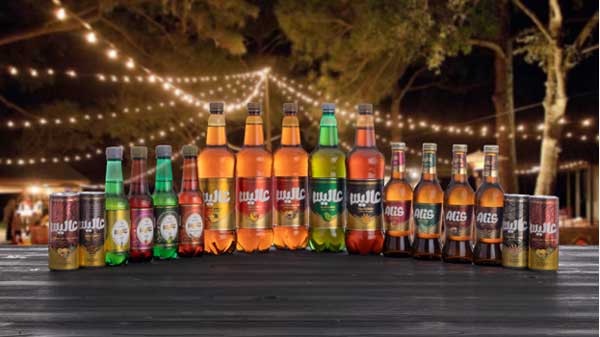 تاریخچه گروه کارخانجات عالیس