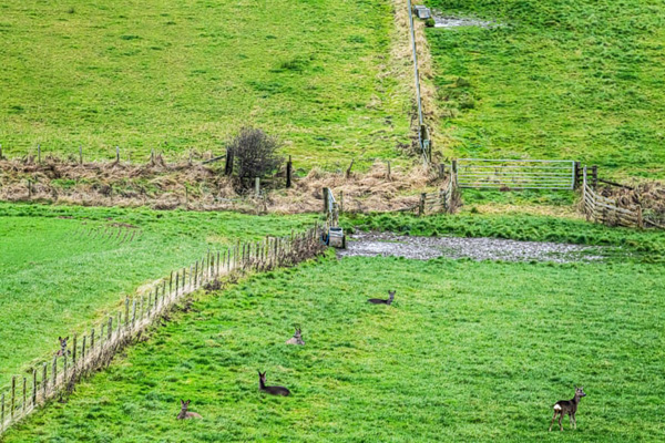 پیدا شدن «چشم شیطان» در بولیوی! (گزارش تصویری)