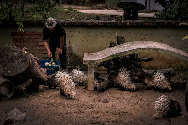 پیدا شدن «چشم شیطان» در بولیوی! (گزارش تصویری)