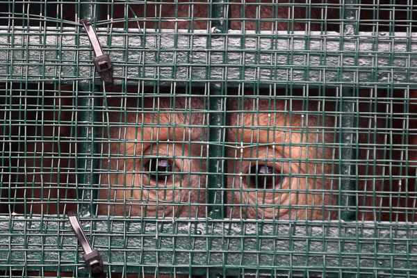 پیدا شدن «چشم شیطان» در بولیوی! (گزارش تصویری)