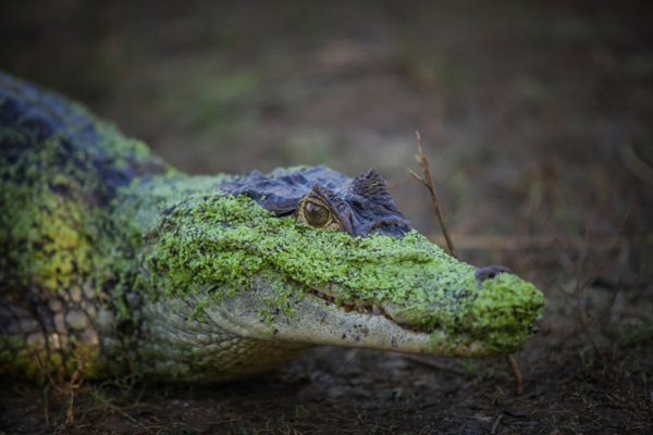 پیدا شدن «چشم شیطان» در بولیوی! (گزارش تصویری)