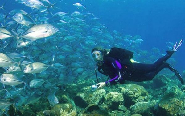 ۸ افسانه عجیب و مرموز دریایی تاریخ + تصاویر