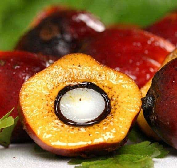 روغن پالم (نخل) قرمز می تواند به کمبود ویتامین آ (A) کودکان مدرسهای کمک کند. روغن پالم (نخل) قرمز می تواند به کمبود ویتامین آ (A) کودکان مدرسهای کمک کند.
