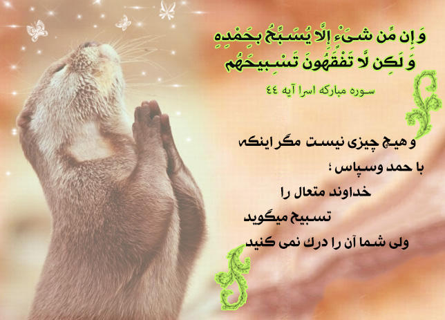 حقیقی بودن تسبیح موجودات غیر ذی روح