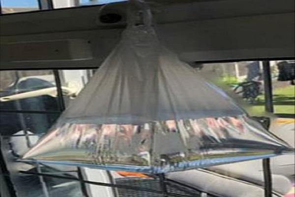 مگس ها را از خانه خود دور کنید مگس ها را از خانه خود دور کنید