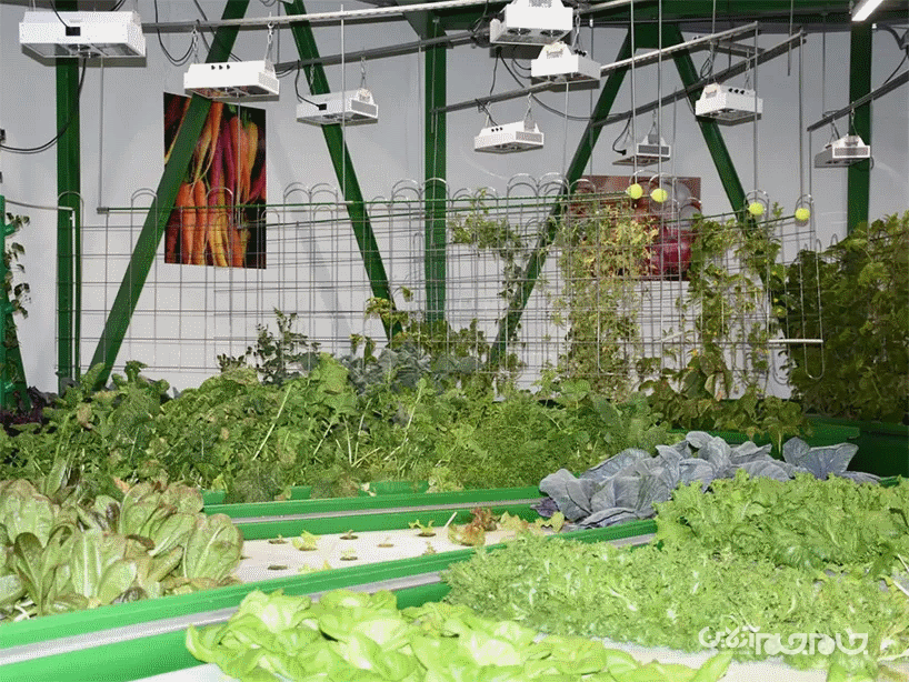 گشتی در خانه های آخرالزمانی ۲ میلیون پوندی مقاوم در برابر حملات هسته‌ای و کووید-۱۹+عکس