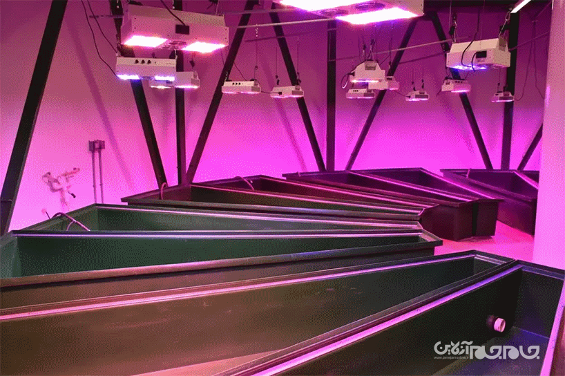 گشتی در خانه های آخرالزمانی ۲ میلیون پوندی مقاوم در برابر حملات هسته‌ای و کووید-۱۹+عکس