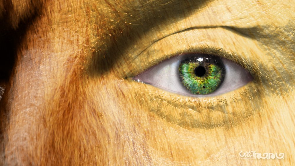 بدترین جنایات انجام شده توسط اتحاد جماهیر شوروی که از آن&zwnj;ها بی&zwnj;خبر بودید؛قسمت دوم+عکس