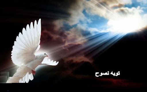 توبه نصوح چيست؟