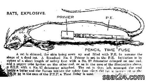 سلاحهایی جالب و عجیب، ولی ناموفق+عکس