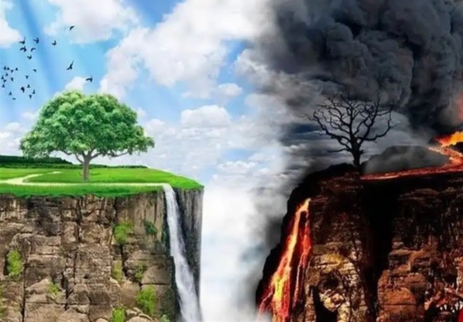 سعادت در قیامت