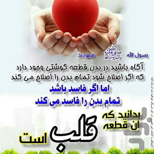 منظور از قلب در قرآن کریم