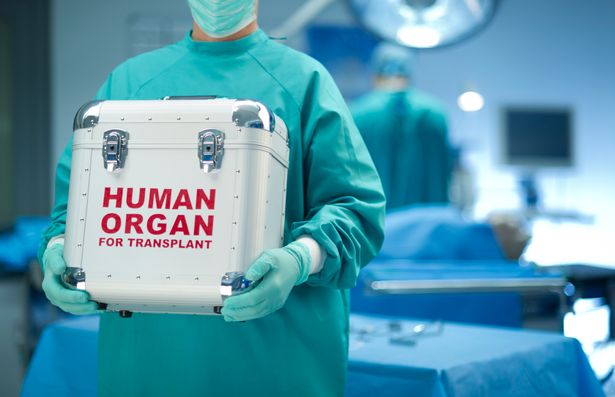 ۶ پزشک چینی قاچاقچی اعضای بدن بازداشت شدند