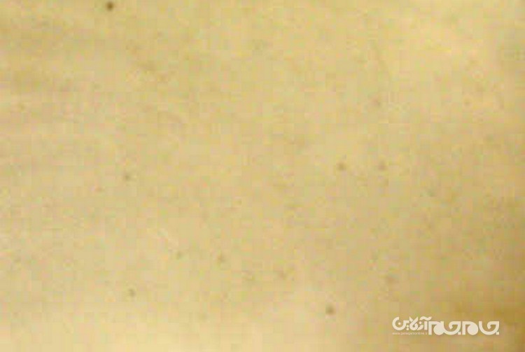 ۱۰ ماجرای مرموز و اسرارآمیز با محوریت آزمایشات سلاح های هسته ای+عکس