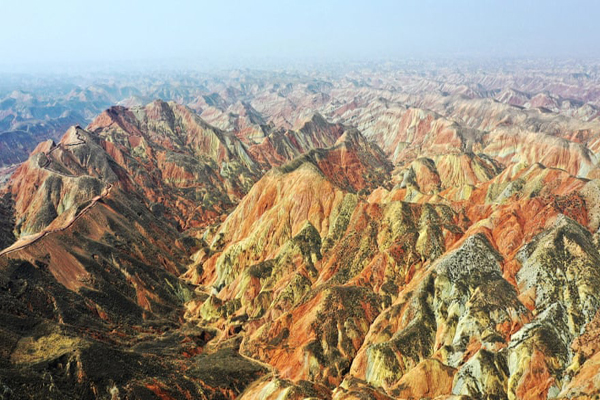 دستگیری ببر قاتل / آموزش آنلاین هنرهای رزمی (گزارش تصویری)