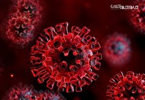 اطلاعیه اتاق اصناف کرمان درباره تعطیلی گروه های شغلی