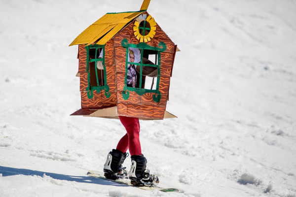 بادکنک فروشی در کوچه پس کوچه های خالی / عملیات از بین برد گیاهان مخدر (گزارش تصویری)