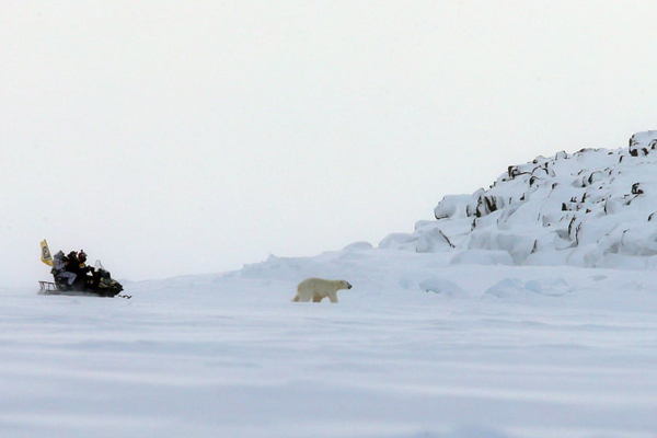 گزارش تصویری حیات وحش؛ از خشم ببر بنگال تا یک عقاب معروف