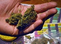 ماده مخدر خطرناک کروکودیل/ مخدری که قابل ترک نیست!