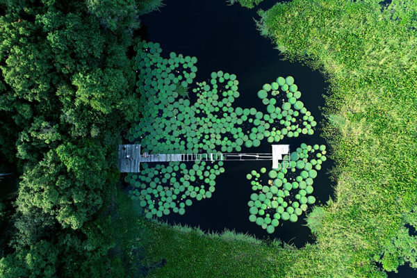 آیین خوابیدن در تابوت / زنده شدن یک مرداب (گزارش تصویری)