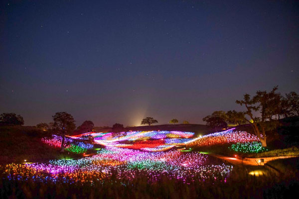 آیین خوابیدن در تابوت / زنده شدن یک مرداب (گزارش تصویری)