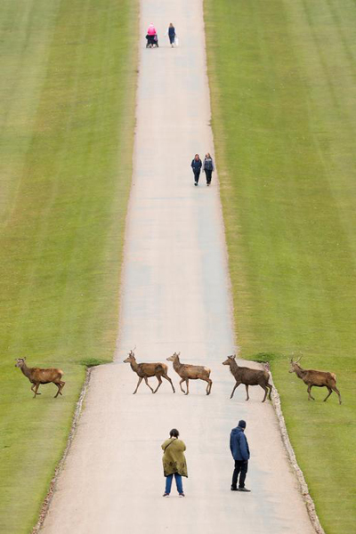 دور دنیا در قاب تصاویر