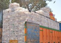 کشف بیش از یک تن مرغ زنده قاچاق در روانسر