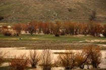 سایه خشکسالی بر سر کرمانشاه/ کشاورزان خودشان را بیمه کنند