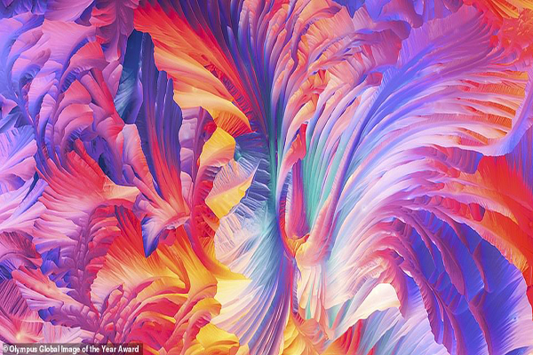 عکس های برنده جشنواره شگفت انگیز «عکاسی علمی» (گزارش تصویری) عکس های برنده جشنواره شگفت انگیز «عکاسی علمی» (گزارش تصویری)