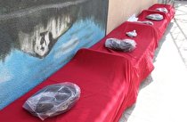 کشف ۱۲۷ کیلو تریاک توسط پلیس مبارزه با مواد مخدر کرمانشاه