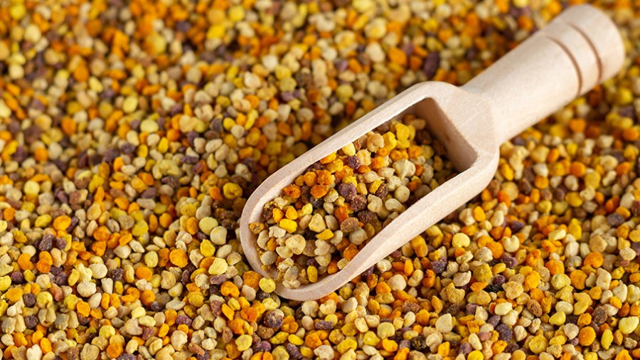 عسل تنها یکی از فراورده‌های زنبور عسل است؛ از فراورده‌های ویژه زنبور غافل نشویم