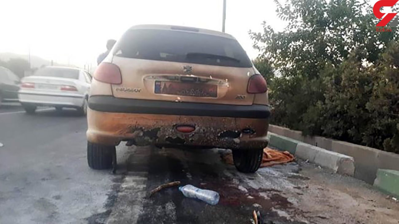 استعلام قیمت، تمدید و خرید ارزان ترین بیمه بدنه پژو 206 فقط از بیمه دات کام