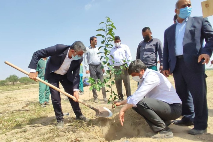 پویش درختکاری با هدف ترویج فرهنگ درختکاری و گسترش و حفظ فضای سبز  در بندرعباس انجام شد.