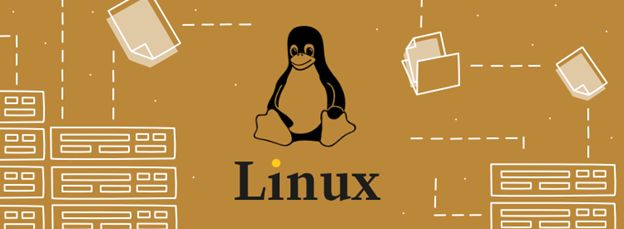 معرفی هاست و انواع آن مناسب کسب و کارهای مختف