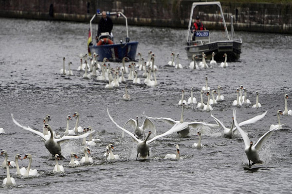 مهم ترین تصاویر 24 ساعت اخیر (گزارش تصویری)