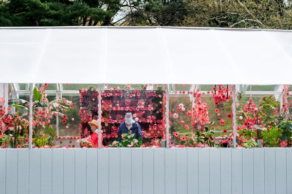 داستان یک مجسمه عظیم و تکراری / صف طویل واکسن کرونا (گزارش تصویری)