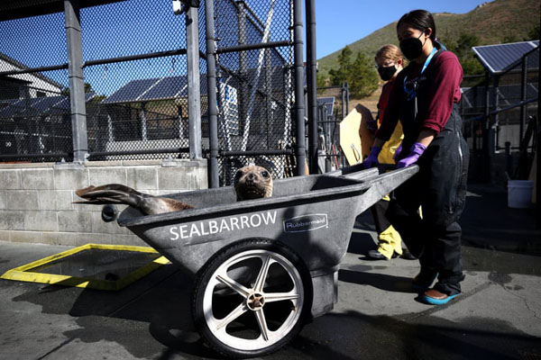 تصاویر مهم 24 ساعت اخیر (گزارش تصویری)