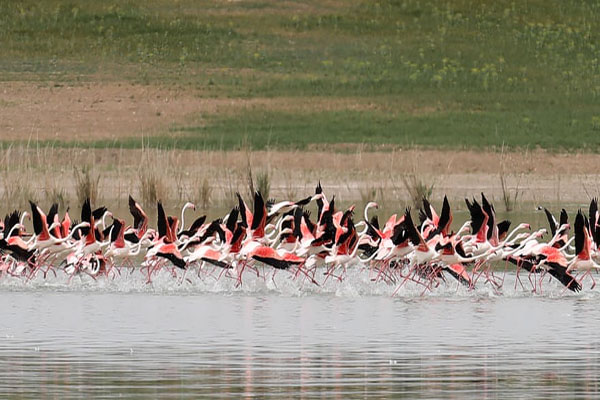 تصاویر مهم 24 ساعت اخیر (گزارش تصویری)