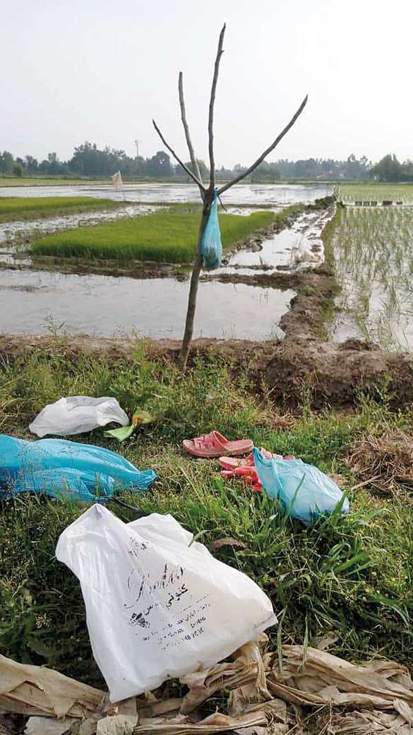 بلایی که از آسمان نازل شد (+تصاویر)