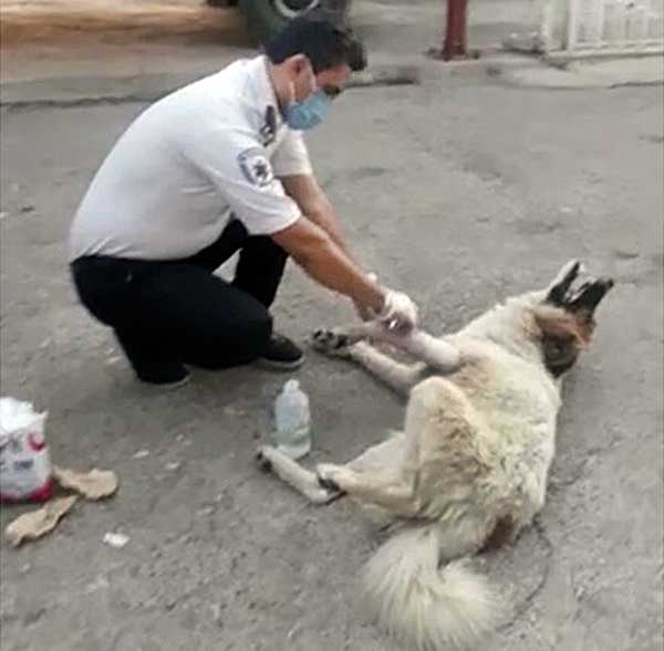 نجات جان مادر با تماس پسر 7ساله (+تصاویر) نجات جان مادر با تماس پسر 7ساله (+تصاویر)