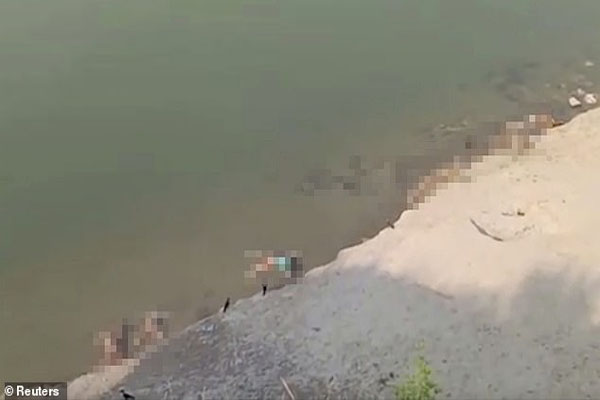 ادامه جنجال جنازه های بیماران کرونایی در رودخانه / صید خرچنگ غول پیکر (گزارش تصویری) ادامه جنجال جنازه های بیماران کرونایی در رودخانه / صید خرچنگ غول پیکر (گزارش تصویری)