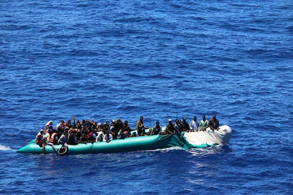 این فیل را صاعقه کشت / چشم در چشم با یک کوسه خوفناک و غول پیکر (گزارش تصویری)