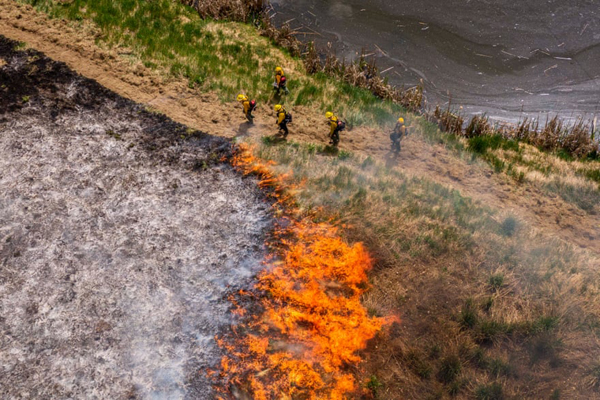 داستان یک نهنگ نگون بخت / توزیع غذا بین فقرای قطب اقتصادی لاتین (گزارش تصویری) داستان یک نهنگ نگون بخت / توزیع غذا بین فقرای قطب اقتصادی لاتین (گزارش تصویری)